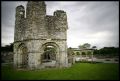 Mellifont Abbey