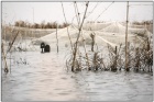 Filets sur le lac Nokou