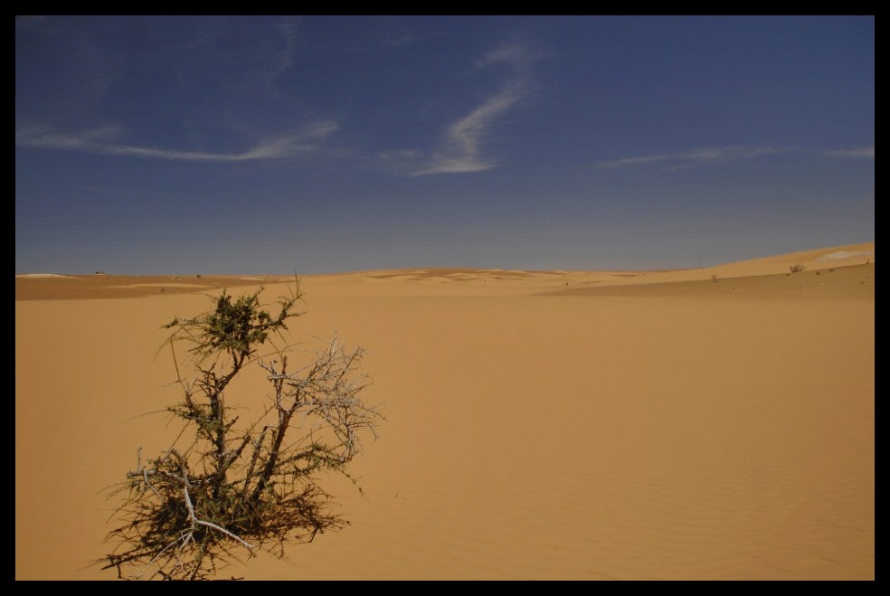 Sahara mauritanien