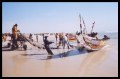 Arrive des pirogues au port de Nouakchott